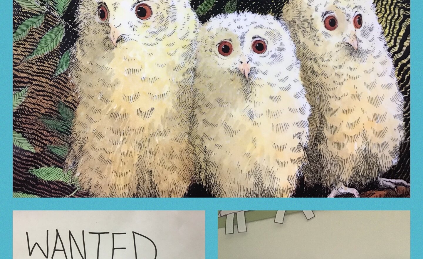 Image of Owl Babies